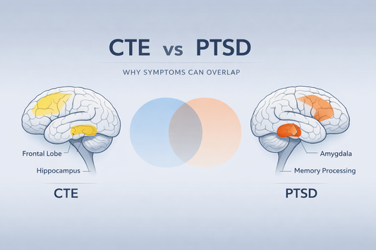 Medical educational illustration comparing neurological and stress-related brain patterns highlighting emotional regulation and memory regions in a calm blue-gray brain diagram.
