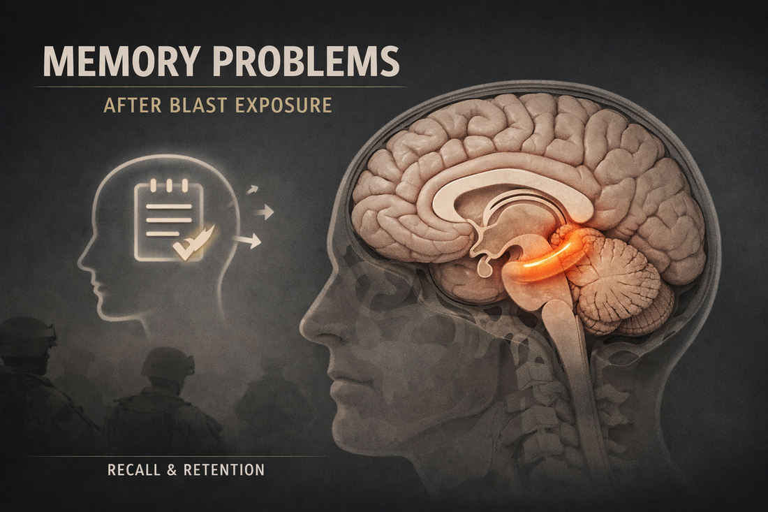 Medical educational illustration highlighting hippocampus brain region associated with memory processing affected by traumatic brain injury or repeated blast exposure in veterans.