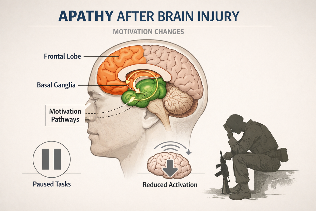 Medical educational illustration highlighting brain regions involved in motivation and initiation that may contribute to apathy and reduced drive following traumatic brain injury or blast exposure.
