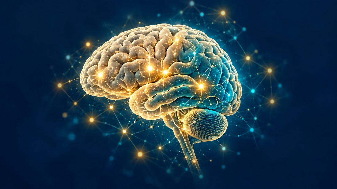 Side-view brain illustration with glowing gold and teal connections on a navy background, accompanying an article about anosognosia after brain injury.