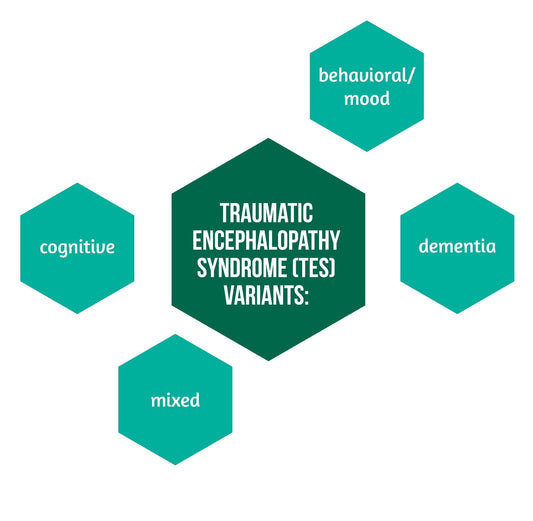 Infographic showing Traumatic Encephalopathy Syndrome (TES) variants: behavioral/mood, cognitive, dementia, and mixed.